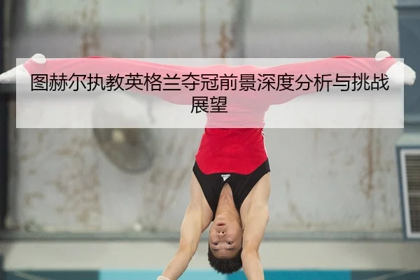 tu-he-er-zhi-jiao-ying-ge-lan-duo-guan-qian-jing-shen-du-fen-xi-yu-tiao-zhan-zhan-wang-2-206.jpg